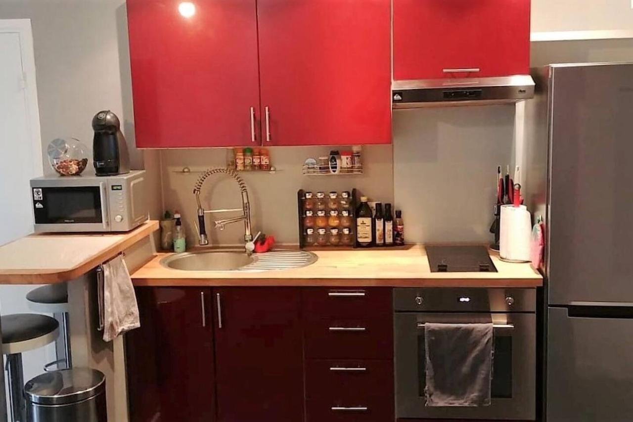 Charmant Studio Proche De Nice A 300M Des Plages Apartment Villeneuve-Loubet Ngoại thất bức ảnh